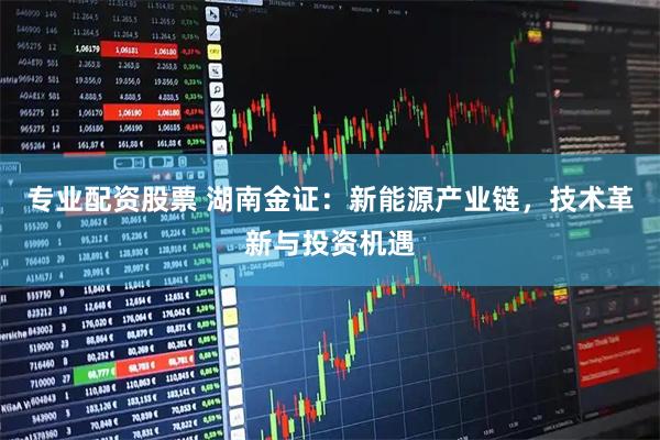 专业配资股票 湖南金证：新能源产业链，技术革新与投资机遇