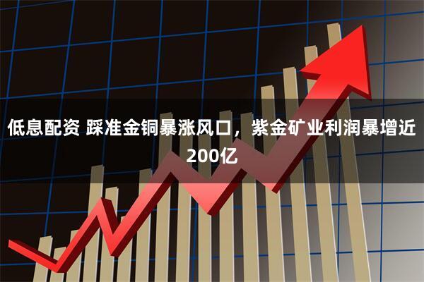 低息配资 踩准金铜暴涨风口，紫金矿业利润暴增近200亿