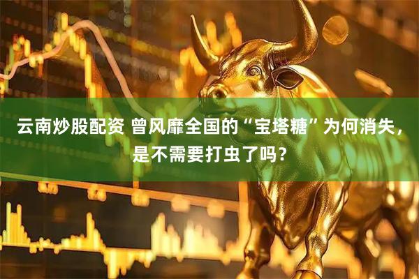 云南炒股配资 曾风靡全国的“宝塔糖”为何消失，是不需要打虫了吗？